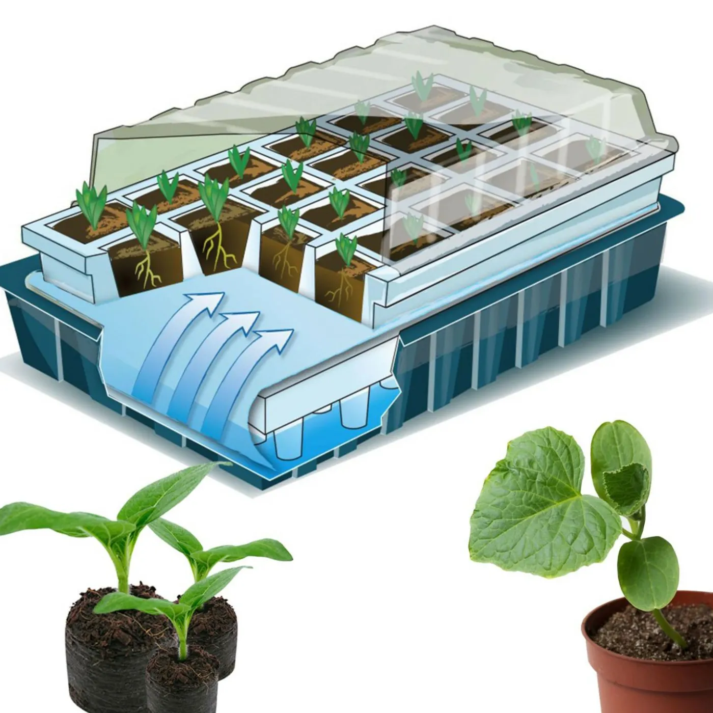 2 Kits de germination pour 80 godets