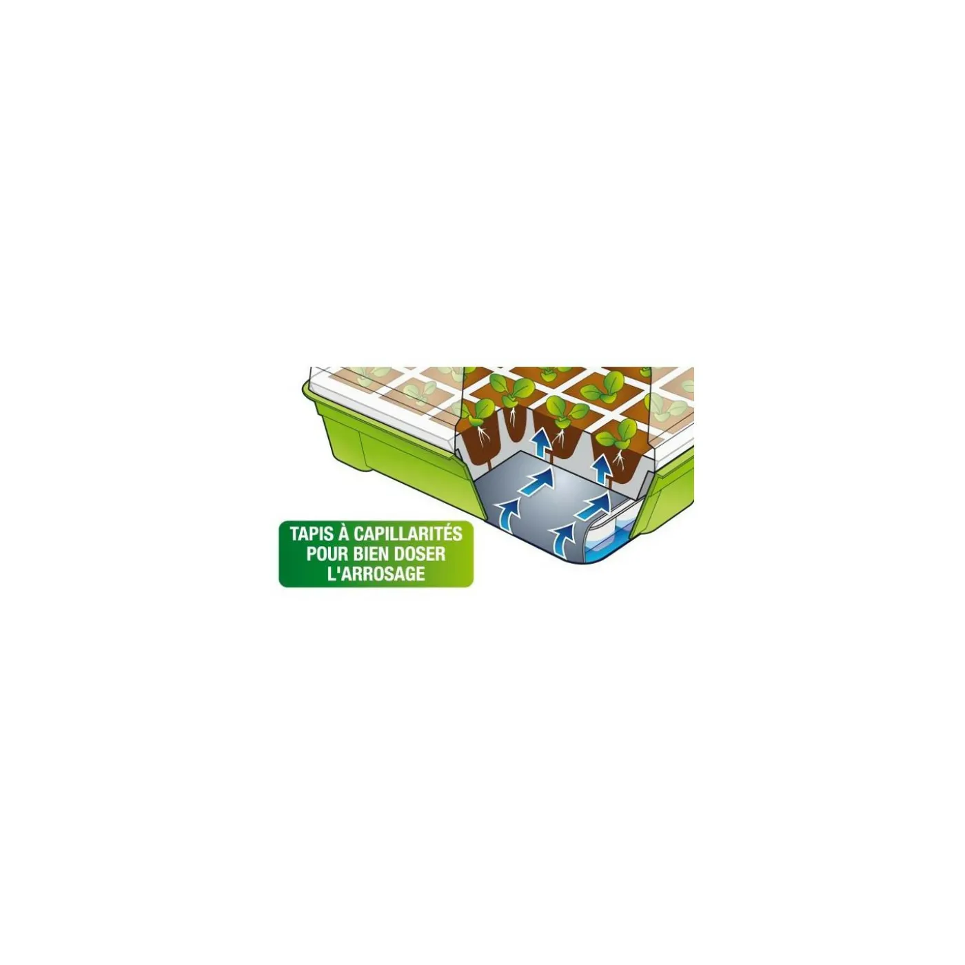 2 Kits de germination pour 80 godets