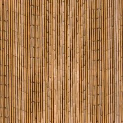 Brise-vue occultant imprimé bambou 1,8 x 10 M 160 gr /m²