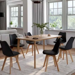 Chaises scandinaves noires avec coussin