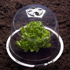 Cloches pour plants de salade X12