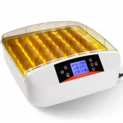 Couveuse professionnelle automatique 56 œufs avec incubateur