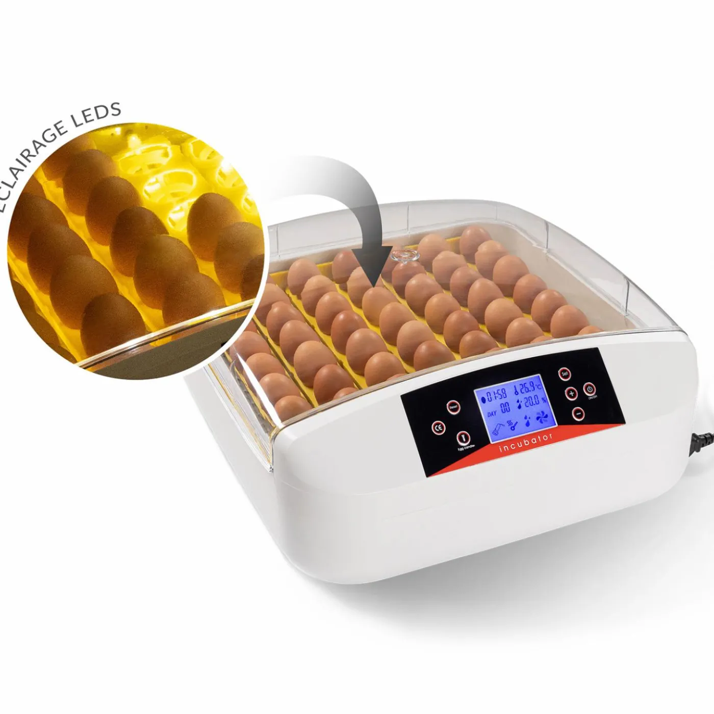 Couveuse professionnelle automatique 56 œufs avec incubateur
