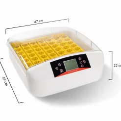 Couveuse professionnelle automatique 56 œufs avec incubateur