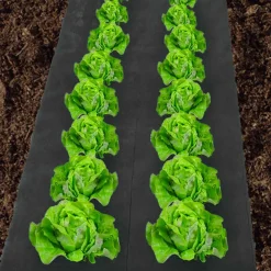 Feutre géotextile noir pour paillage du jardin