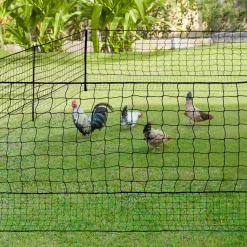 Filet à poules de 50m avec porte