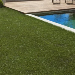 Gazon synthétique 40 mm d'épaisseur 1x10 M pour jardin / balcon