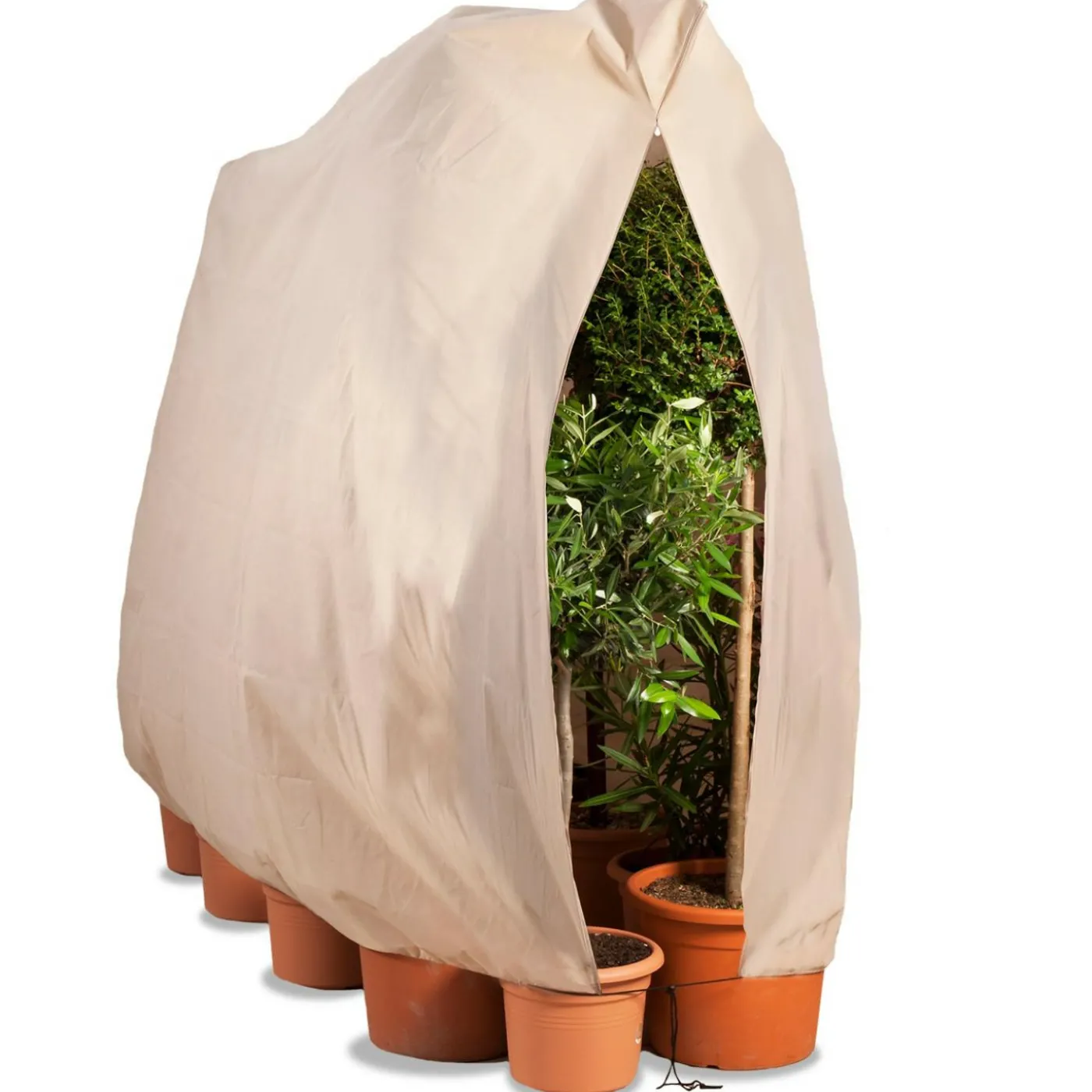 Housse d’hivernage pour arbustes 200 x 240 cm