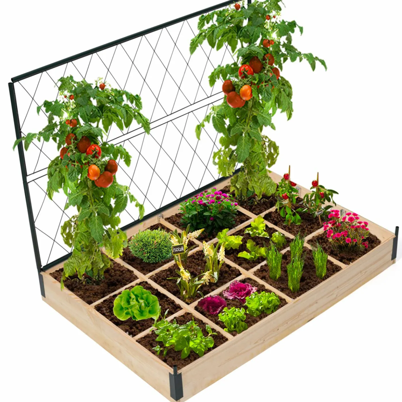 Kit complet 3 carrés potager et serre à tomates + treillis + housse