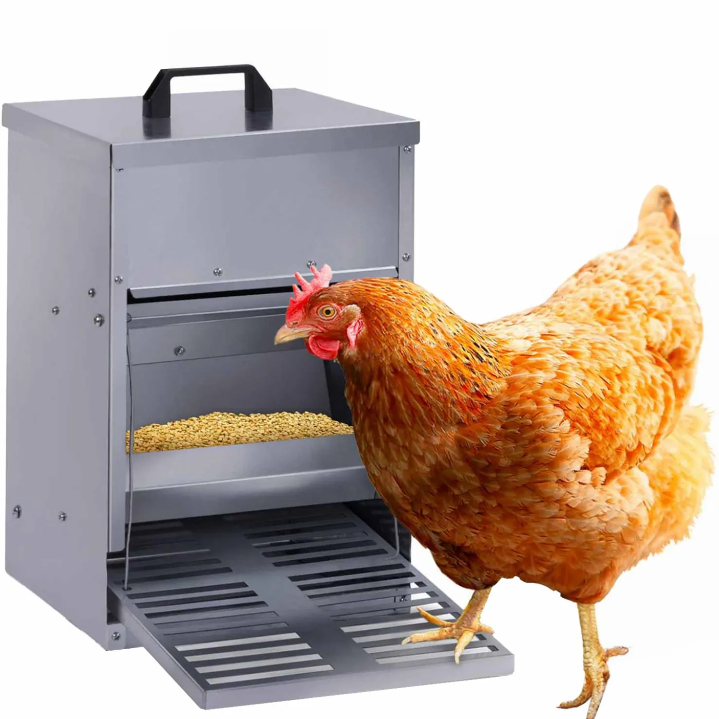 Mangeoire à poule anti-nuisible