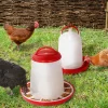 Mangeoire et abreuvoir pour poules
