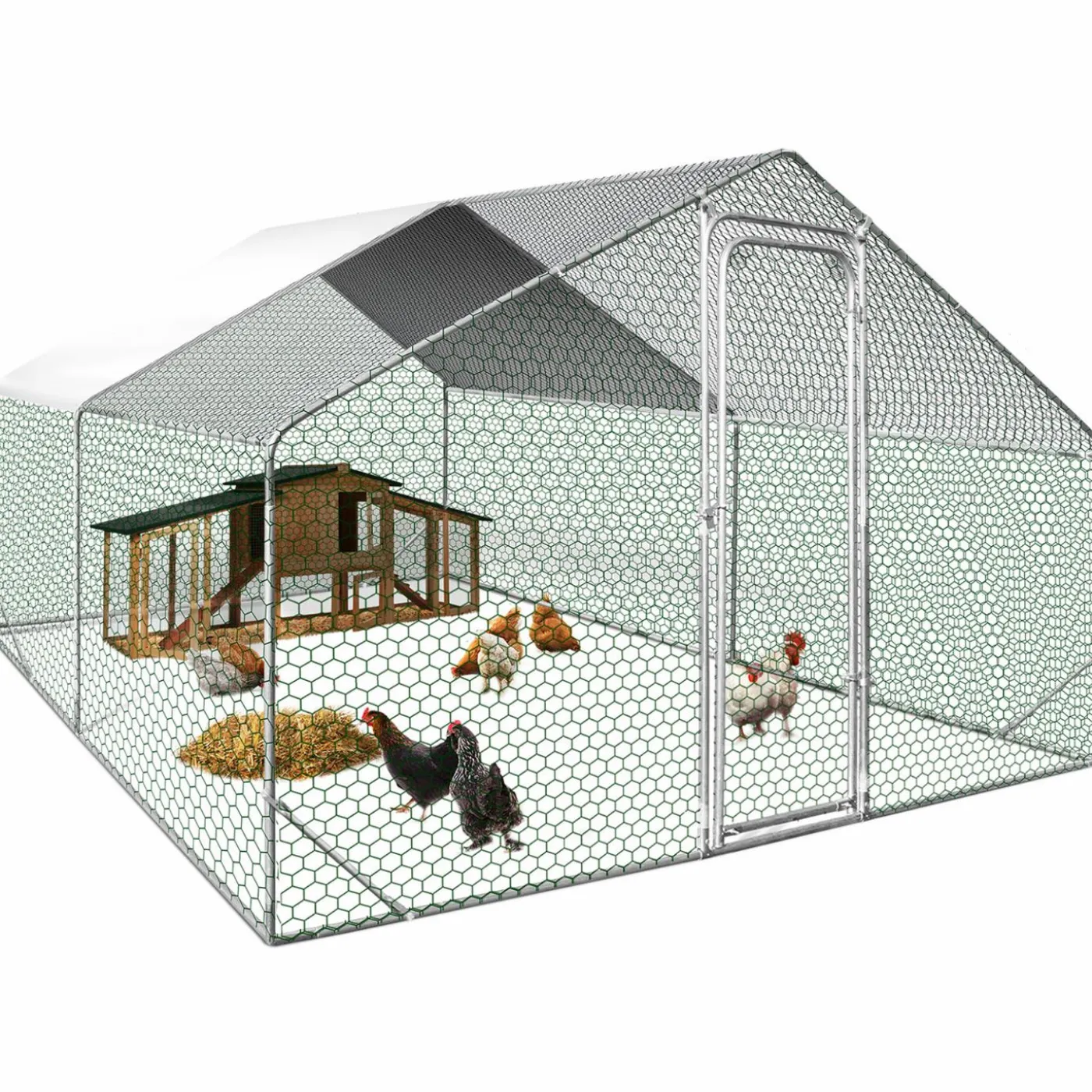 Parc à poule grillagé