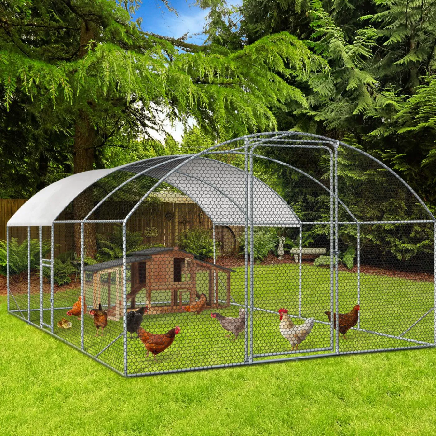 Parc à poules grillagé 15 m²