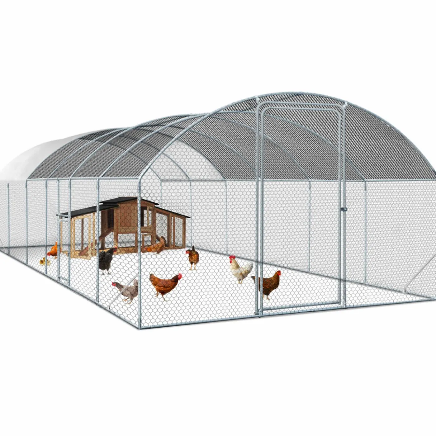 Parc à poules grillagé 22,5 m²