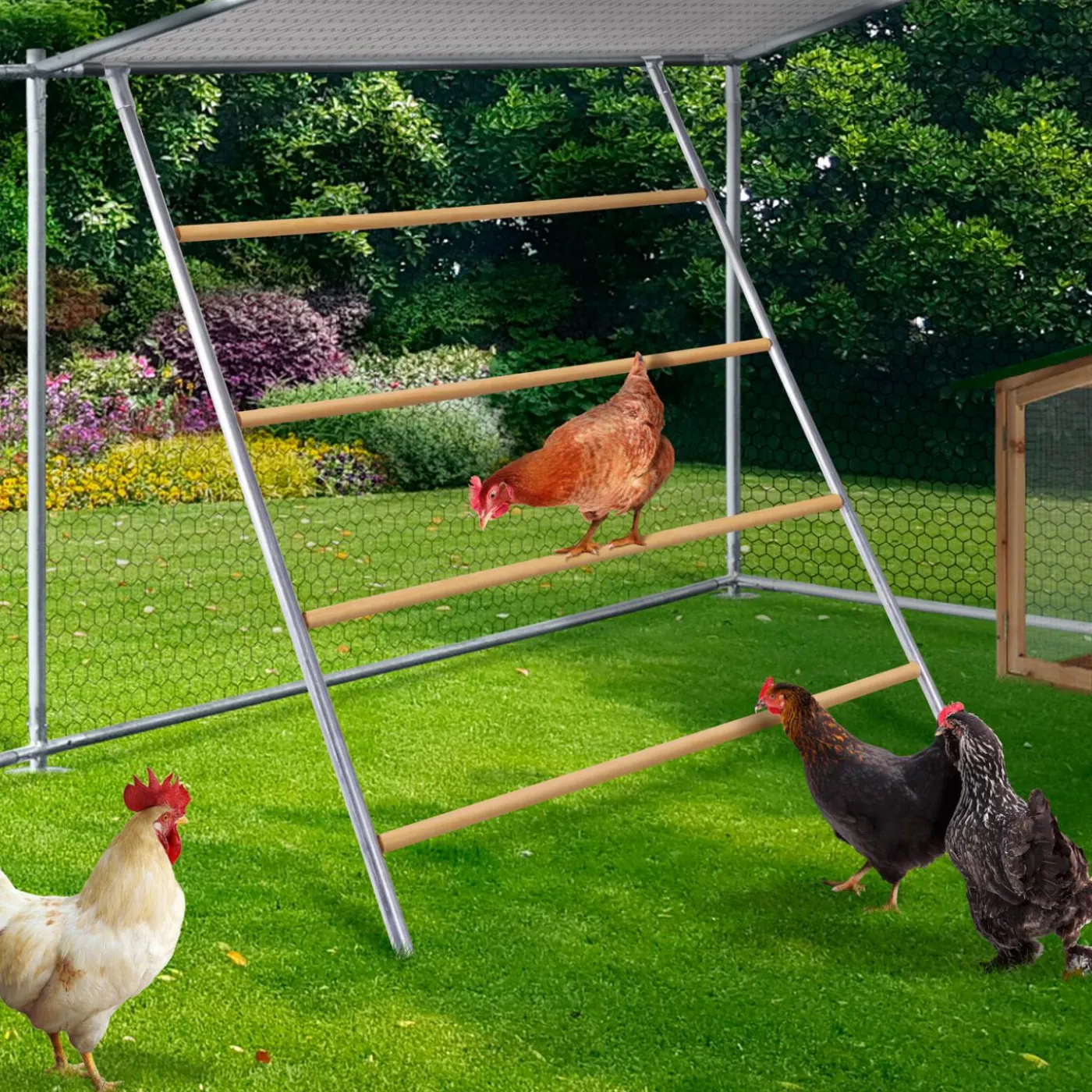 Perchoir poule 4 niveaux en bois