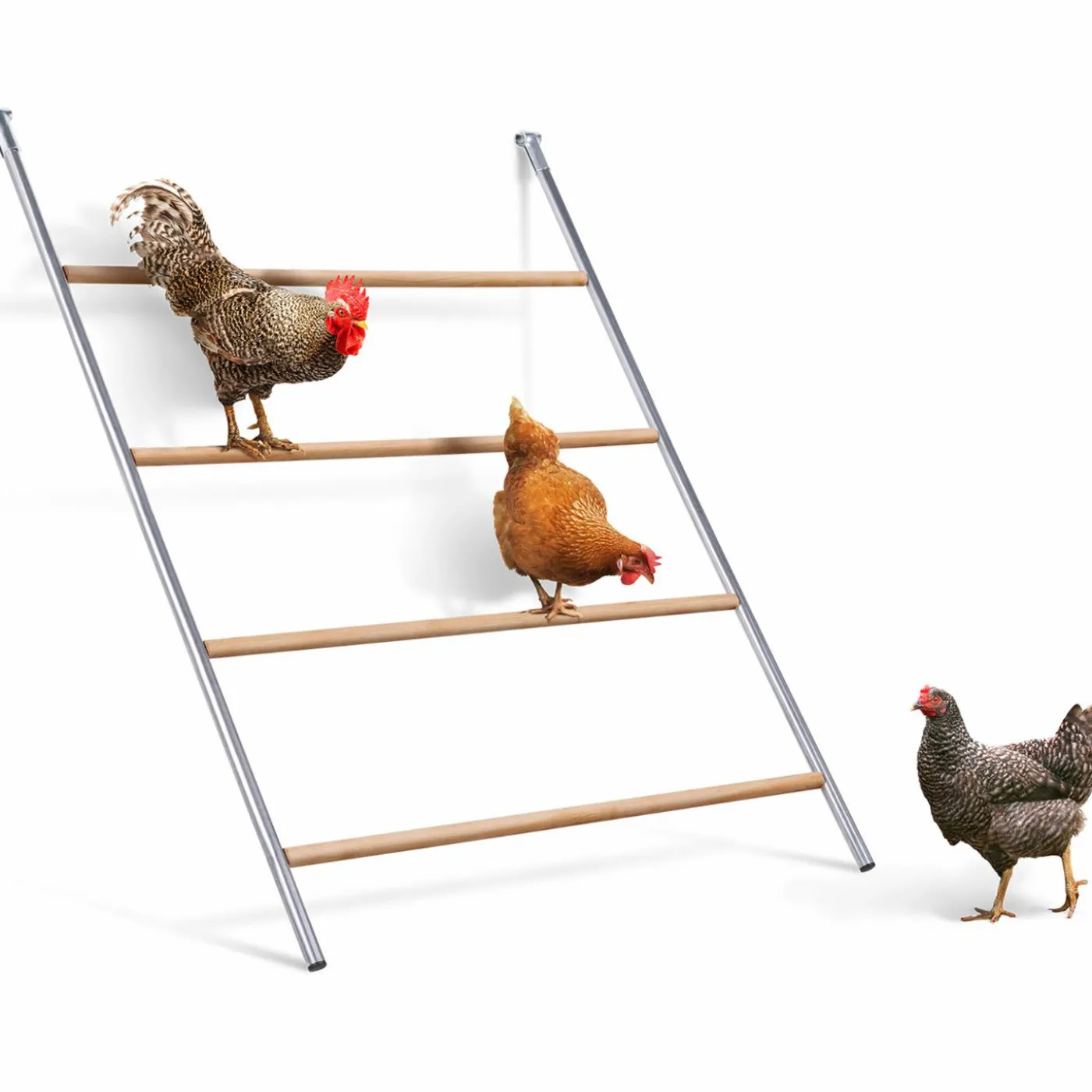 Perchoir poule 4 niveaux en bois