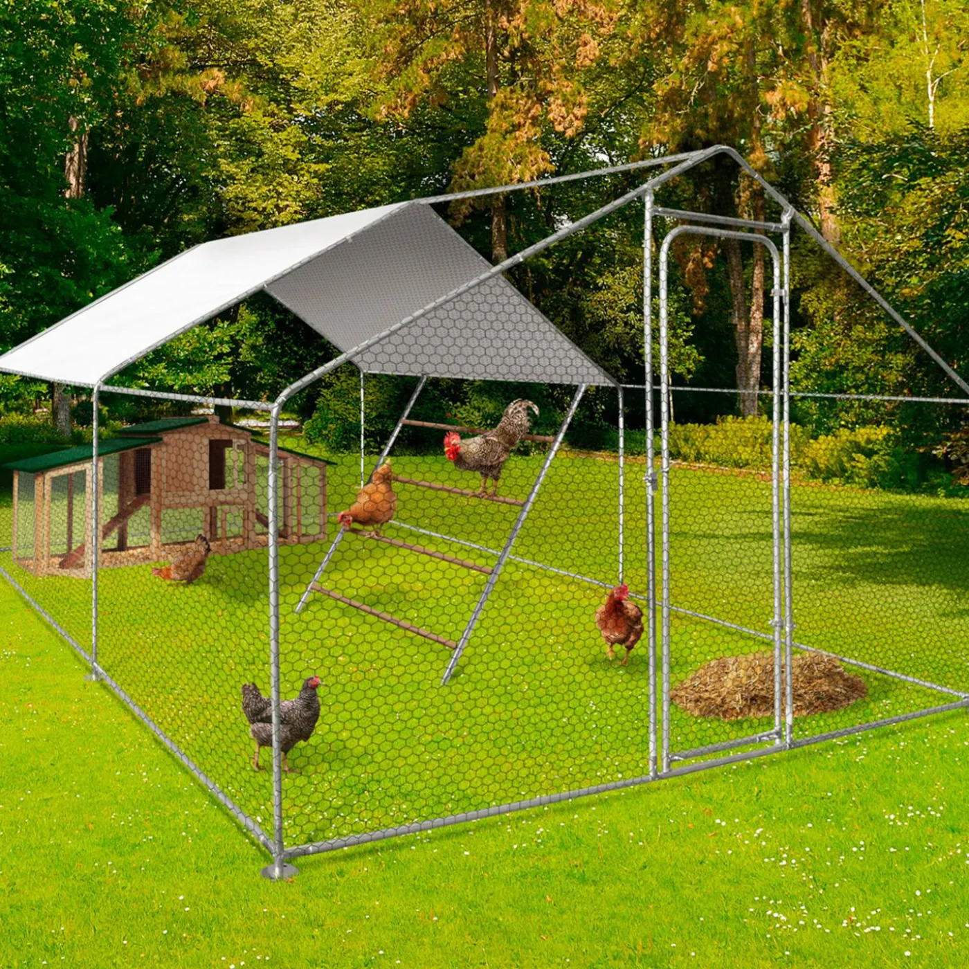 Perchoir poule 4 niveaux en bois