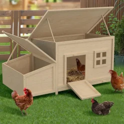 Poulailler en bois 6 poules avec pondoir, toit plat et sur pilotis