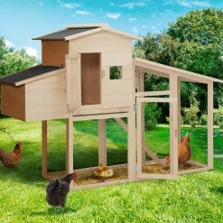 Poulailler en bois avec pondoir