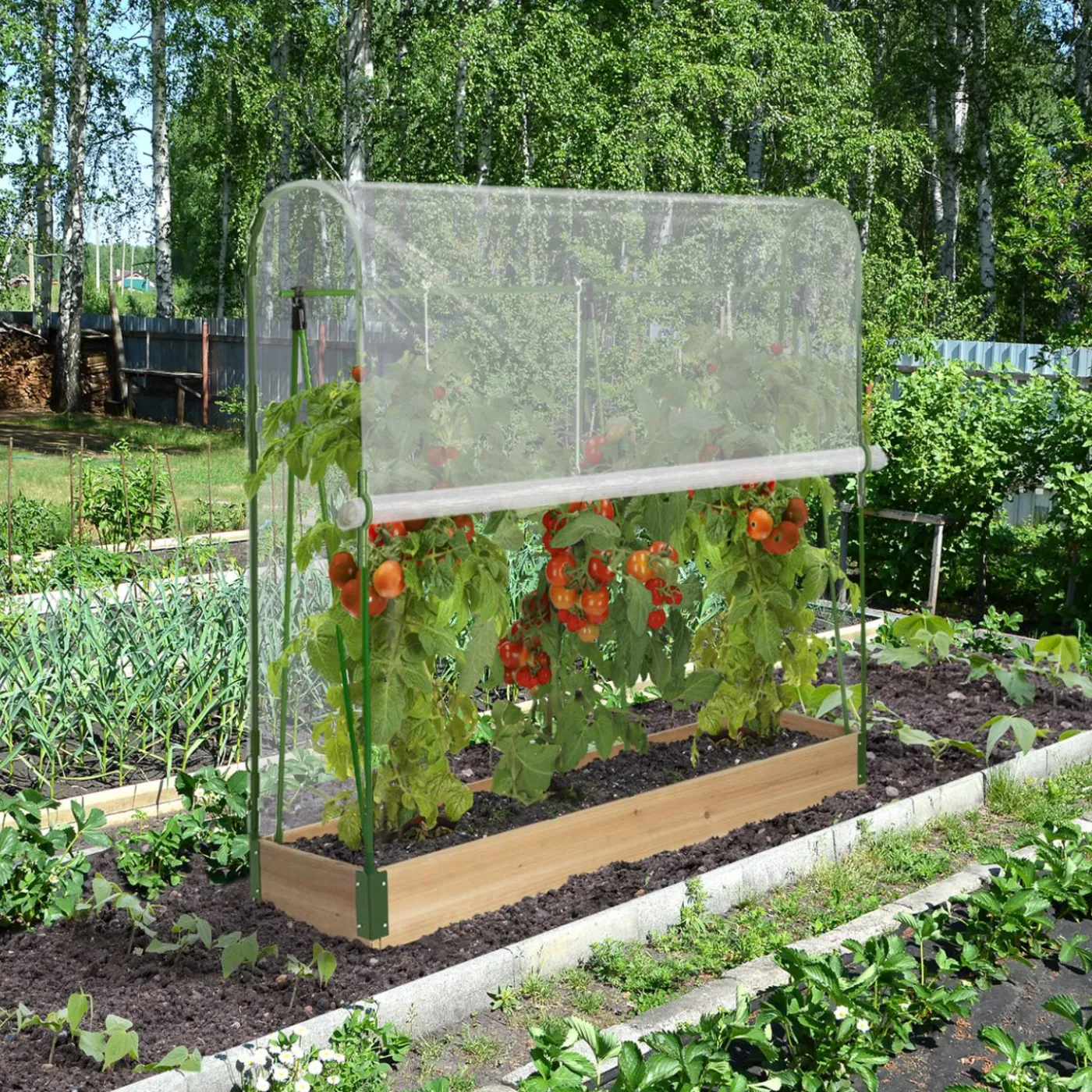 Serre à tomates 1,20 m