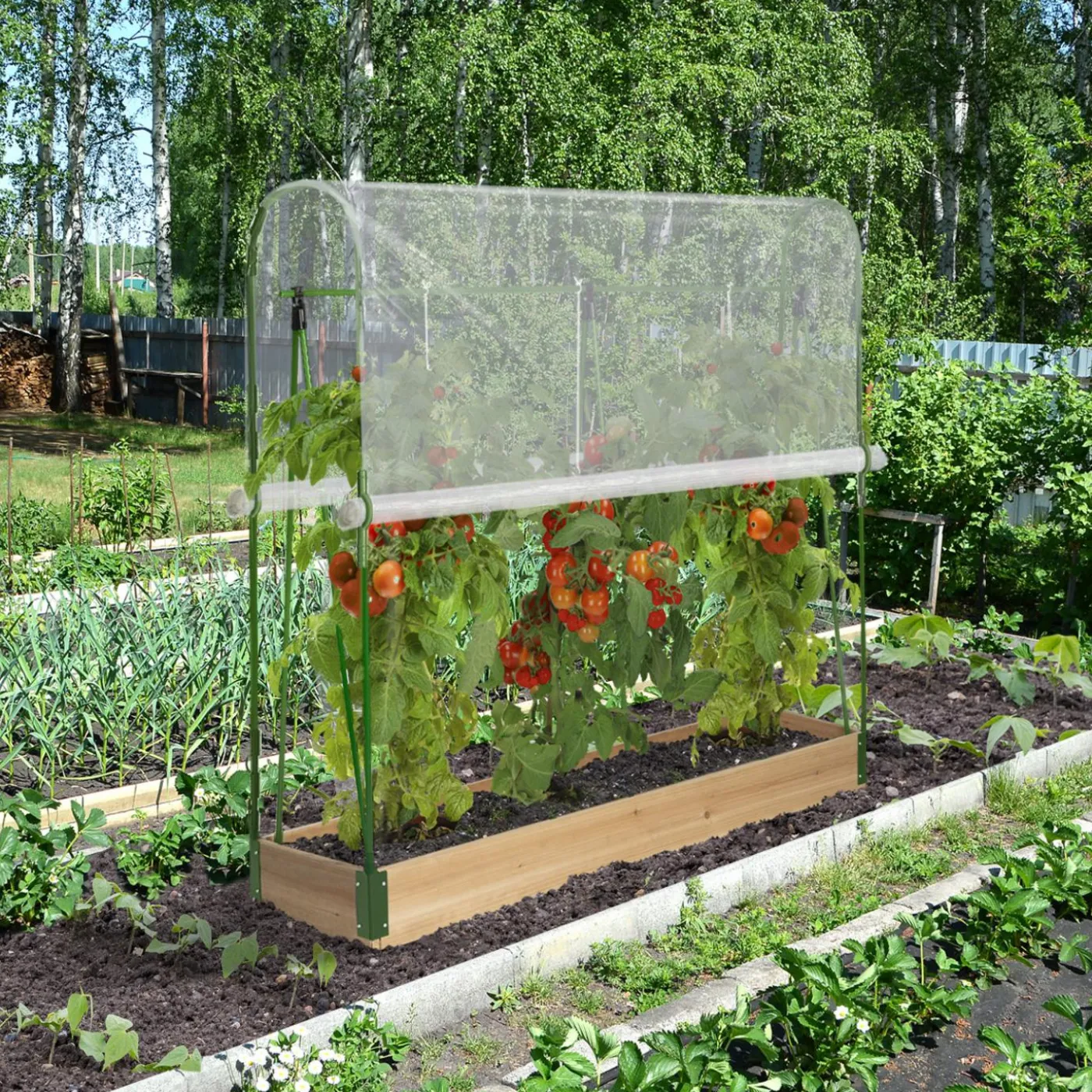 Serre à tomates 1,20 m
