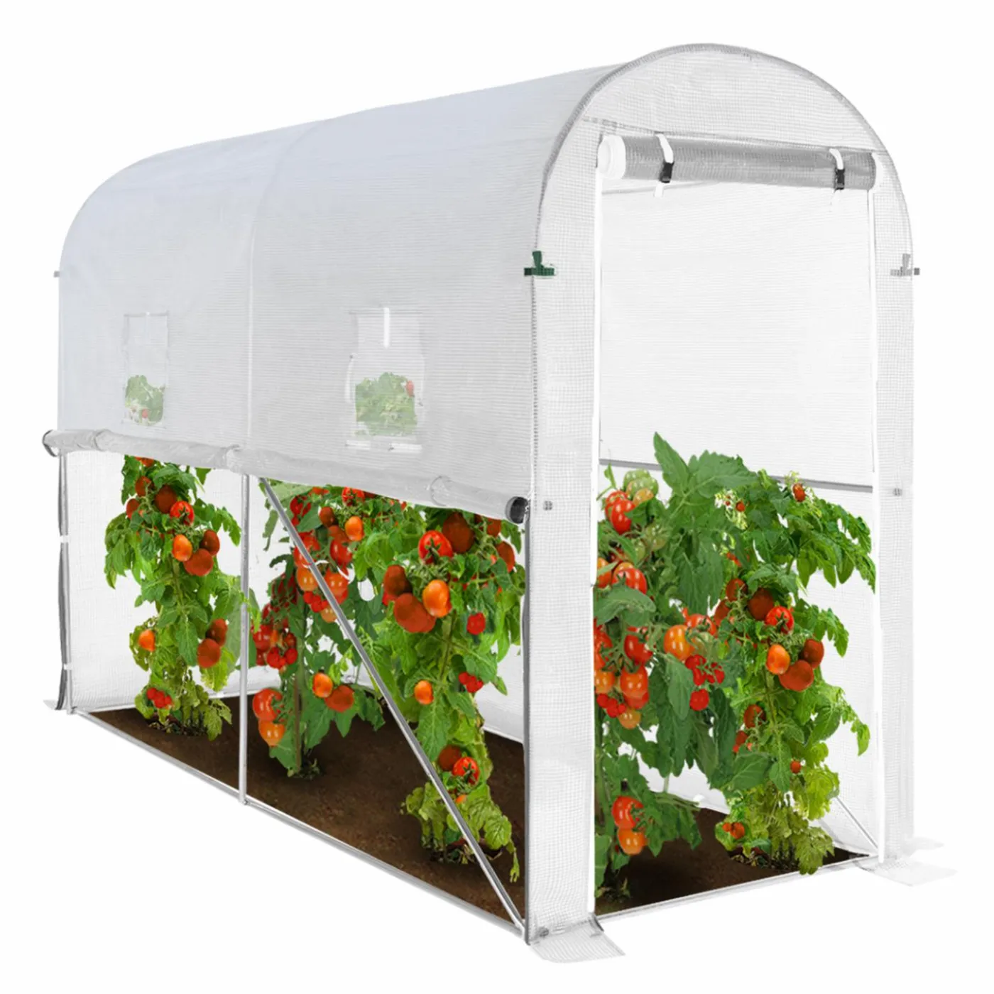 Serre à tomates 3 m² 3 x 1 x 2 m blanche