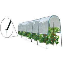 Serre à tomates tunnel 6 m