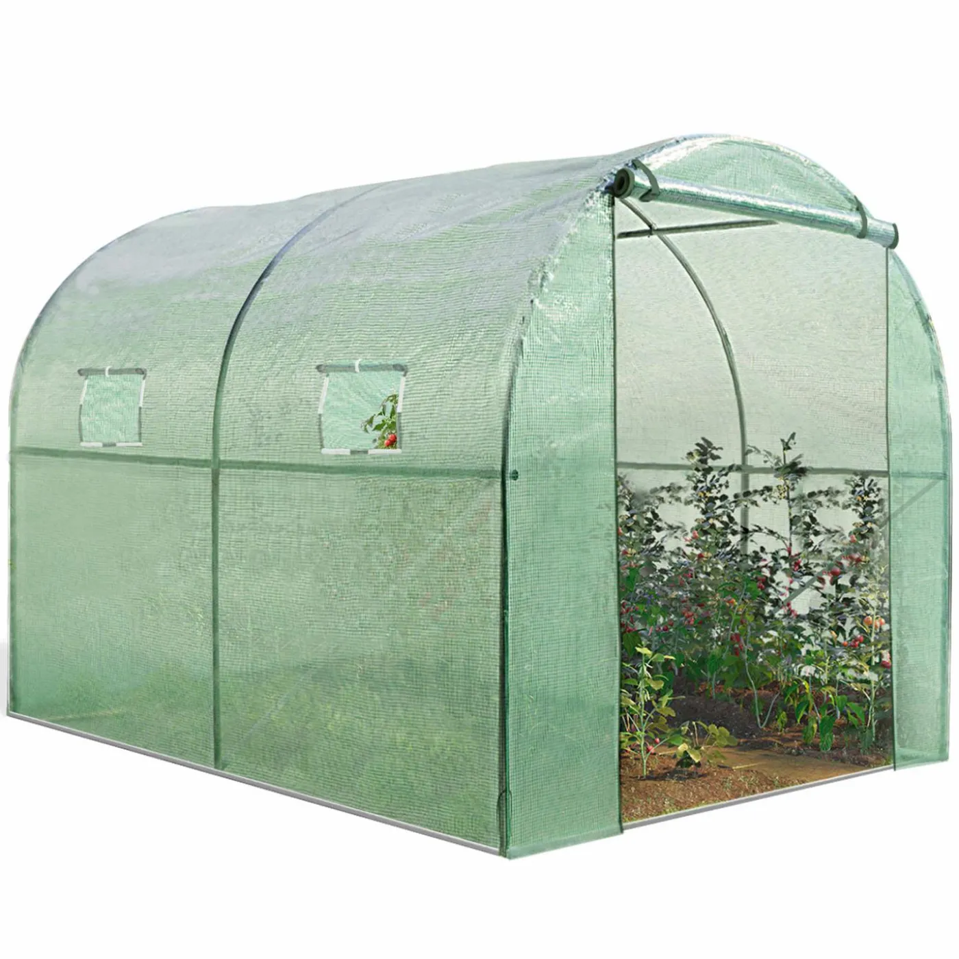 Serre de jardin verte 6m² avec 2 fenêtres