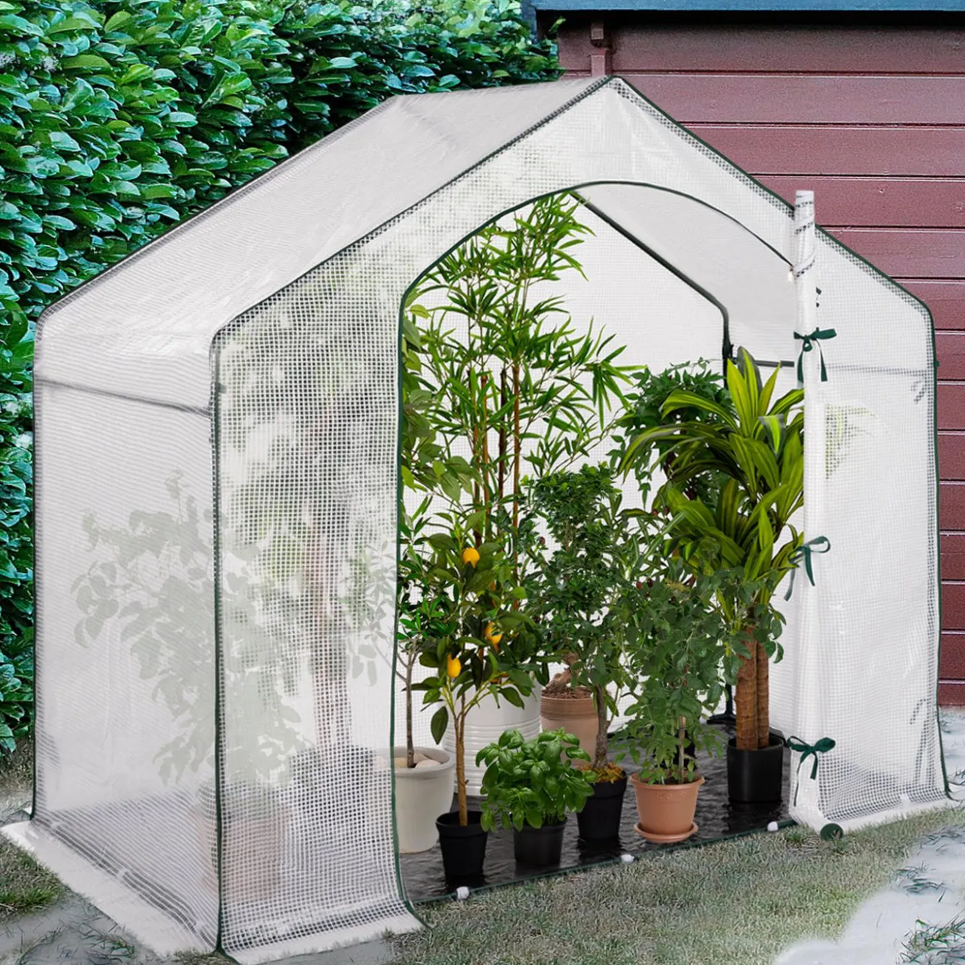 Serre d'hivernage forme de maison pour balcon et terrasse