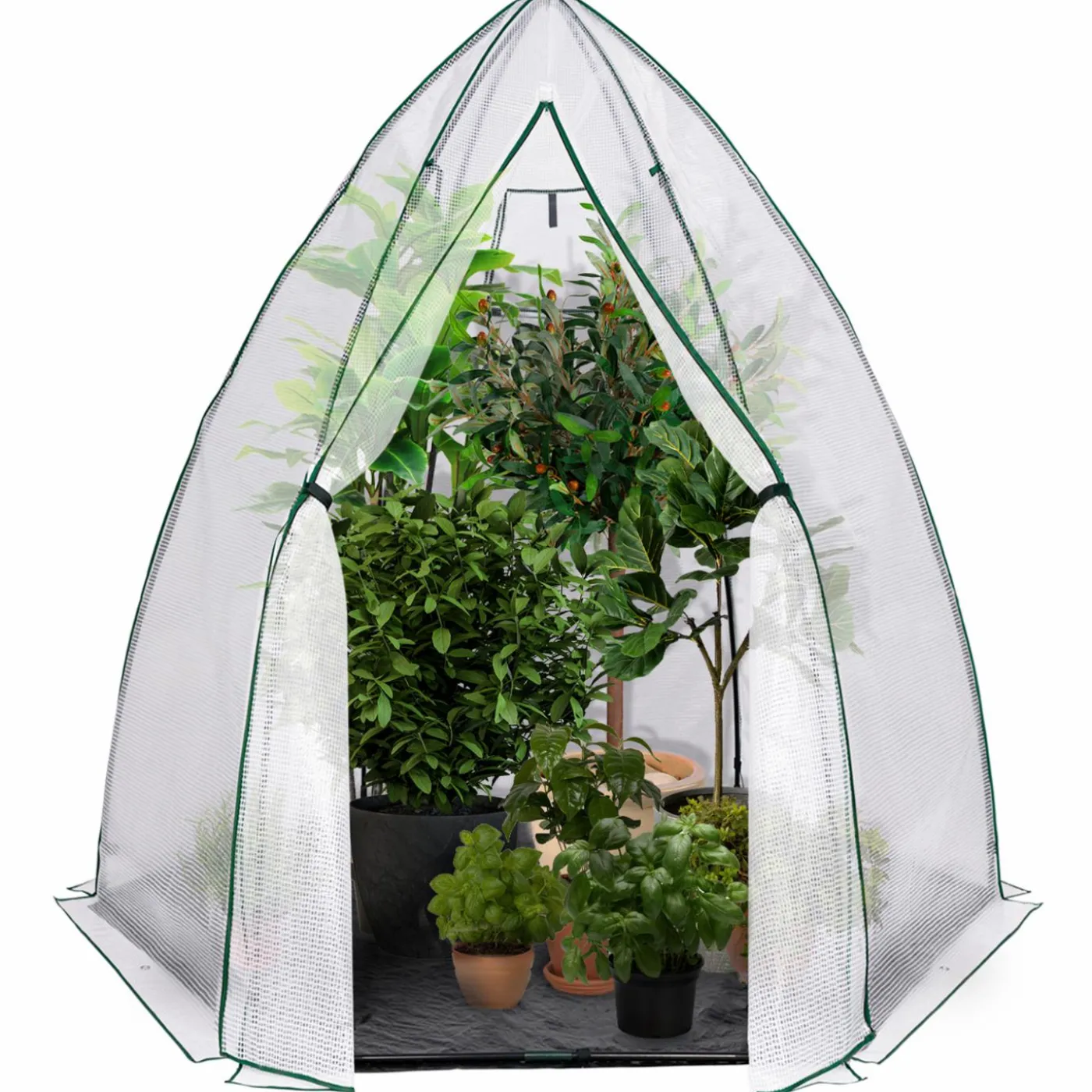 Serre hivernage grand format pour plantes