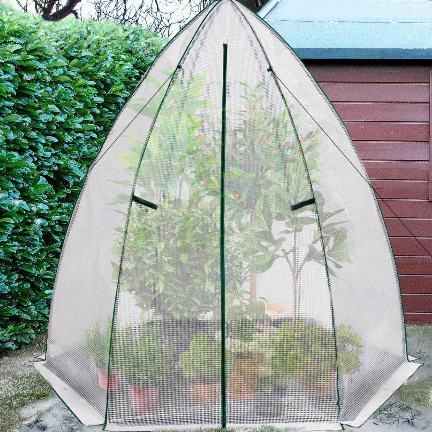 Serre hivernage grand format pour plantes