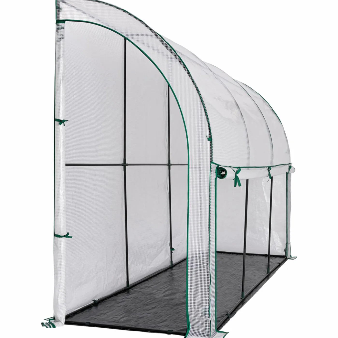 Serre murale pour hivernage des plantes