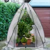 Serre pour hivernage des plantes bâche bulle