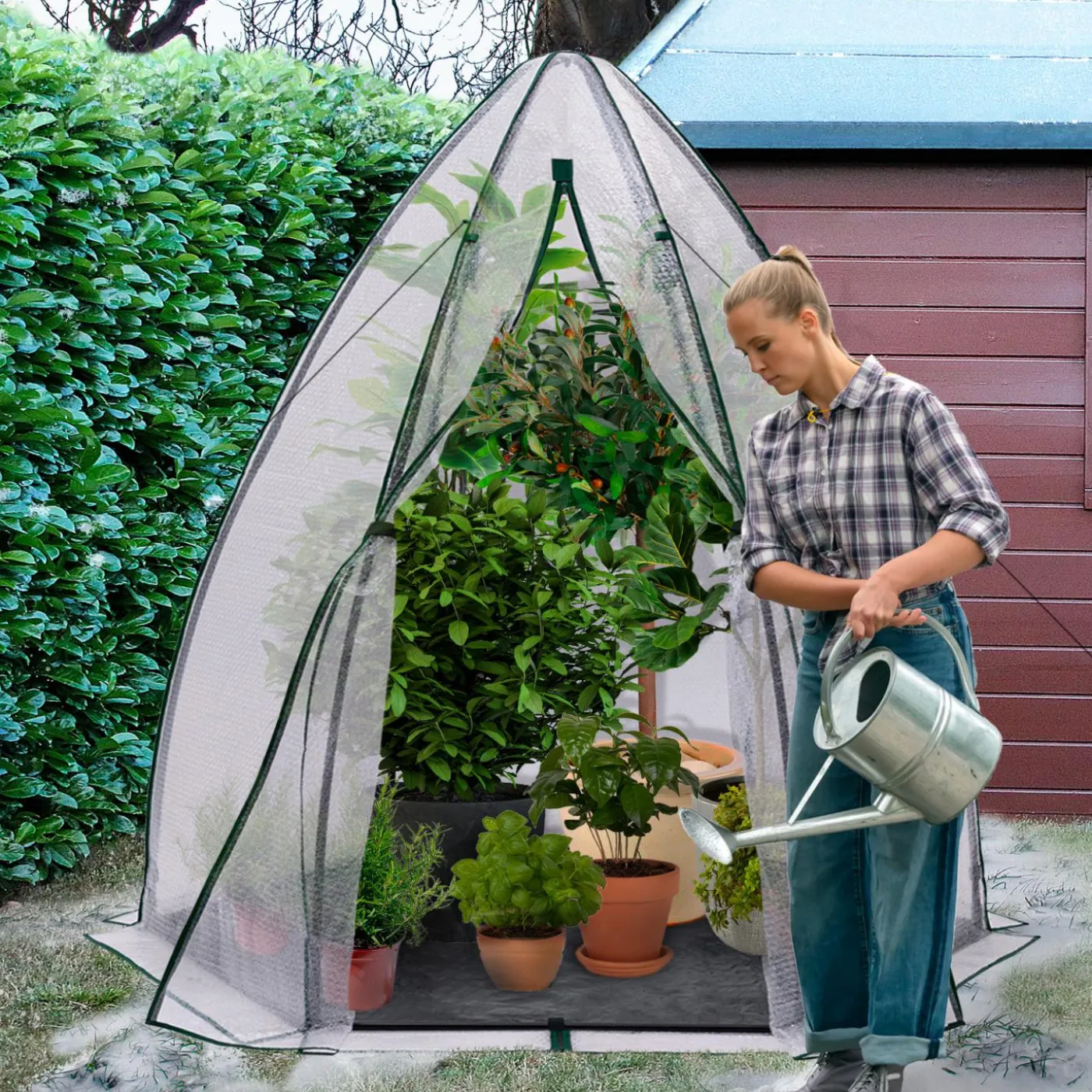 Serre pour hivernage des plantes bâche bulle