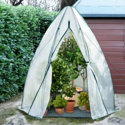 Serre pour hivernage des plantes