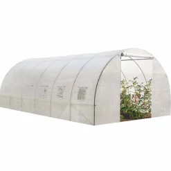 Serre 6x3 m transparente