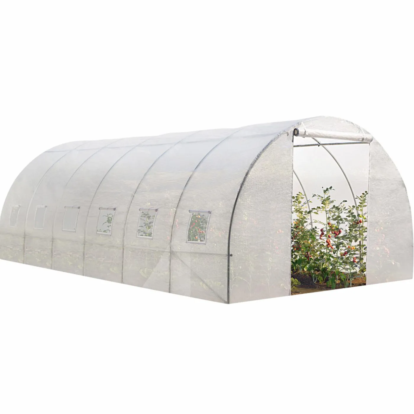 Serre 6x3 m transparente