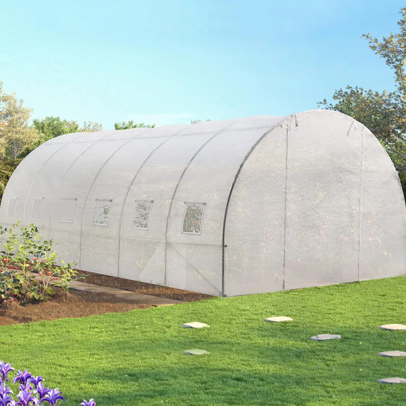 Serre 6x3 m transparente
