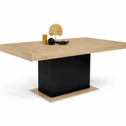 Table à manger bois et noir 8 personnes 160 cm