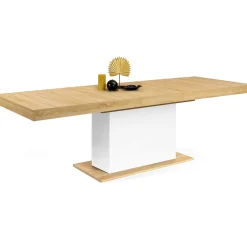 Table à manger extensible rectangle 12 personnes