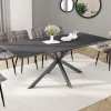 Table à manger extensible 6 à 10 personnes avec plateau effet béton pied araignée