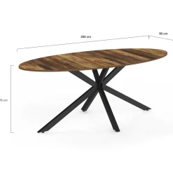 Table à manger ovale 10 personnes 200 cm pied araignée noir et plateau bois foncé