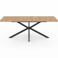 Table à manger rectangle 200cm pied araignée