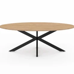 Table basse ovale bois et métal noir avec pied araignée