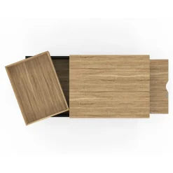 Table basse rectangulaire plateau relevable bois et noir plateau amovible avec coffre