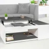 Table de salon avec plateau relevable et coffre bois blanc et plateau gris