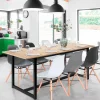 Table extensible industrielle 6-10 personnes 200 cm