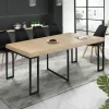 Table industrielle extensible 10 personnes 235 cm