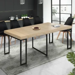 Table industrielle extensible 10 personnes 235 cm